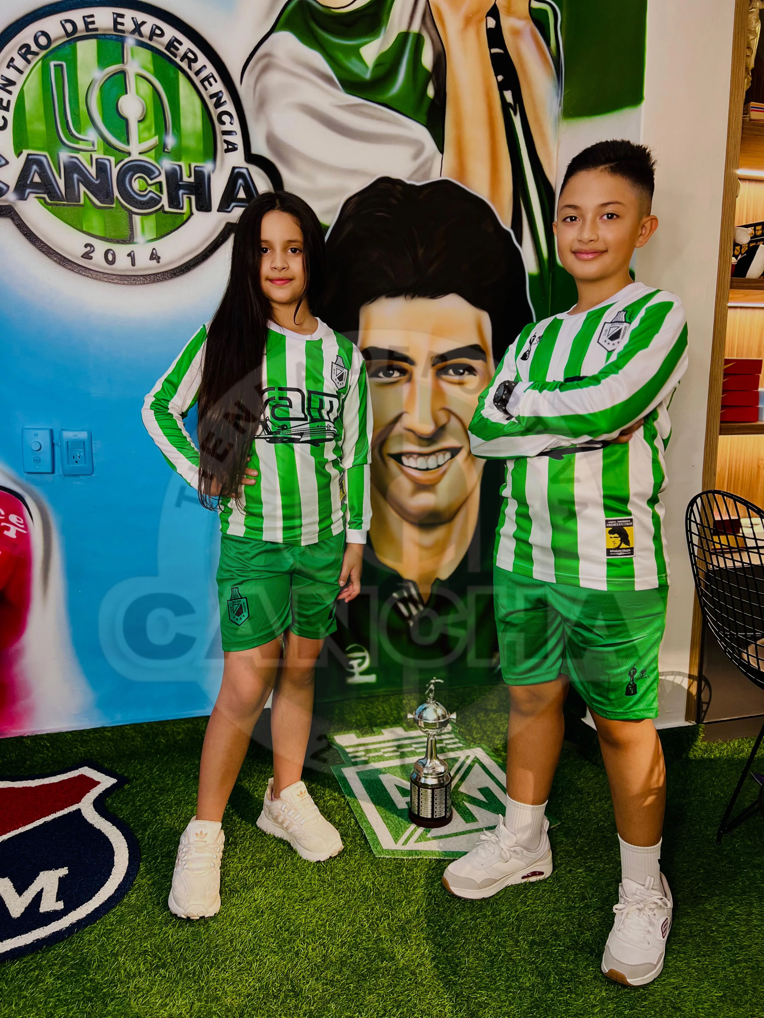 Imagen del producto 6
