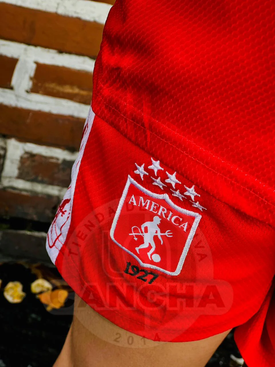 Imagen del producto 10